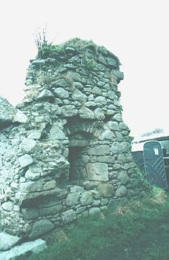 Carrickmines3.jpg (39450 bytes)