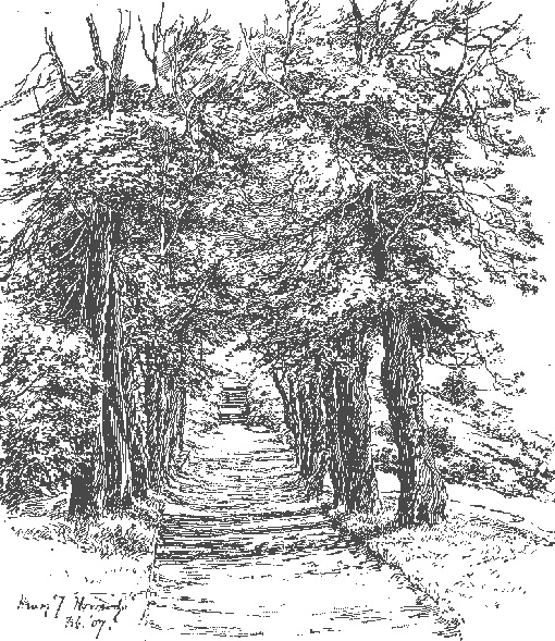 addison'swalk.gif (31943 bytes)